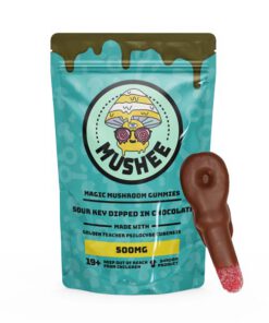 Magic Mushroom Sour Key Chocolate Dipped- 500MG – Mushee