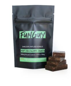 FunGuy – Mint Chocolate Crunch 3000mg